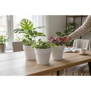 Target Planter Set of 3 OS Cream NWOT Ceramic 5in Round Tapered Flower Pots